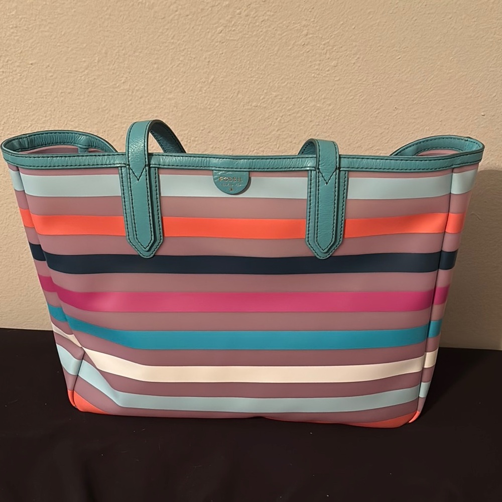 Colorful Striped Fossil Tote Bag